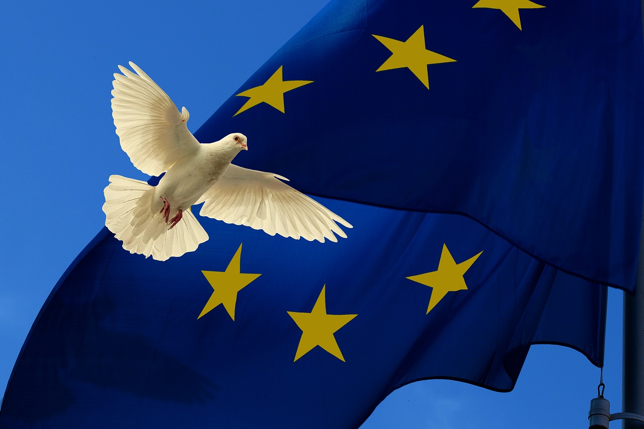 Vlajka evropskÃ© unie. 